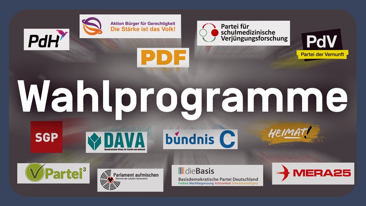 Kleinparteien: Die Wahlprogramme erklärt | EU-Wahl 2024
