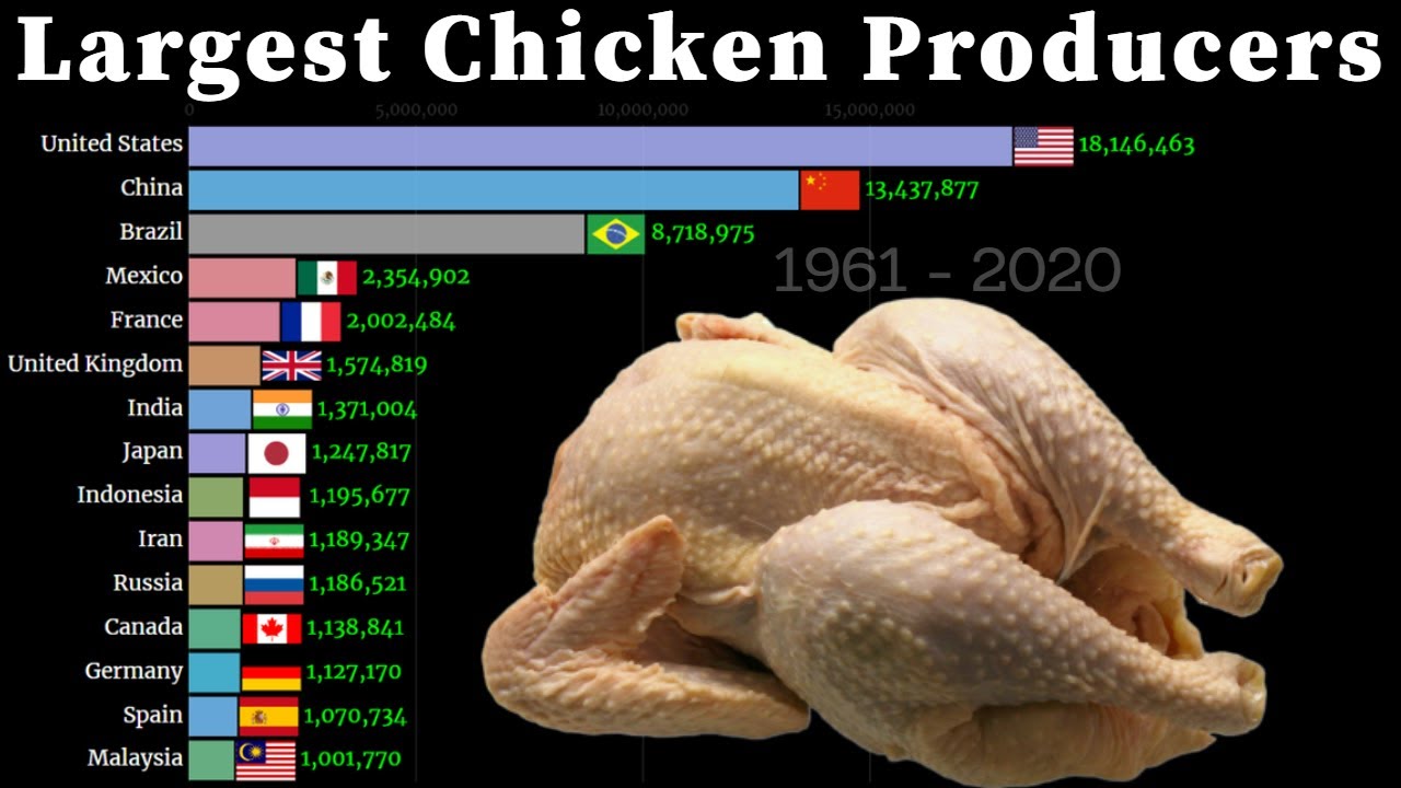 Largest Chicken Producing Countries 1961 - 2020