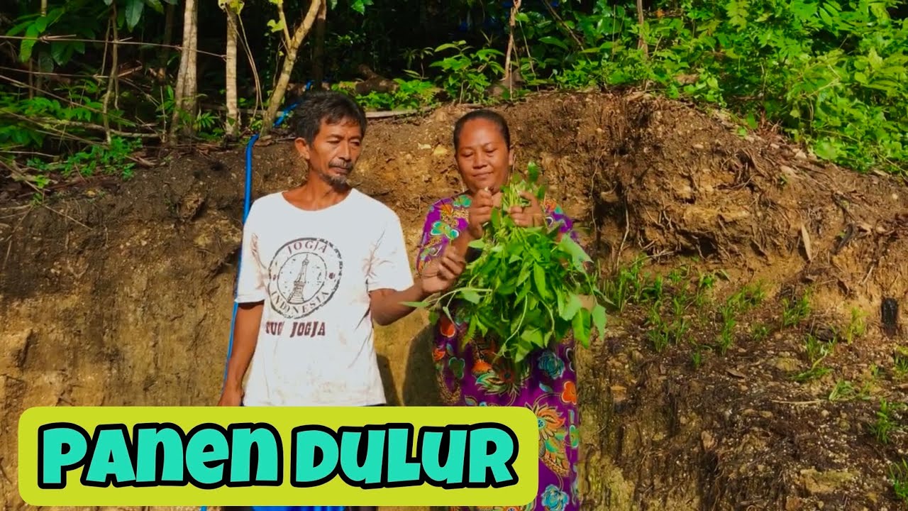 WES PANEN SAYUR LUR SAYUR KANGKUNG😍