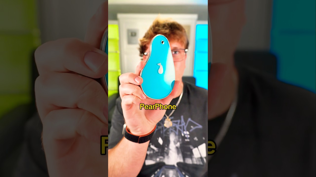 The Weirdest Things I Found On My Shelf