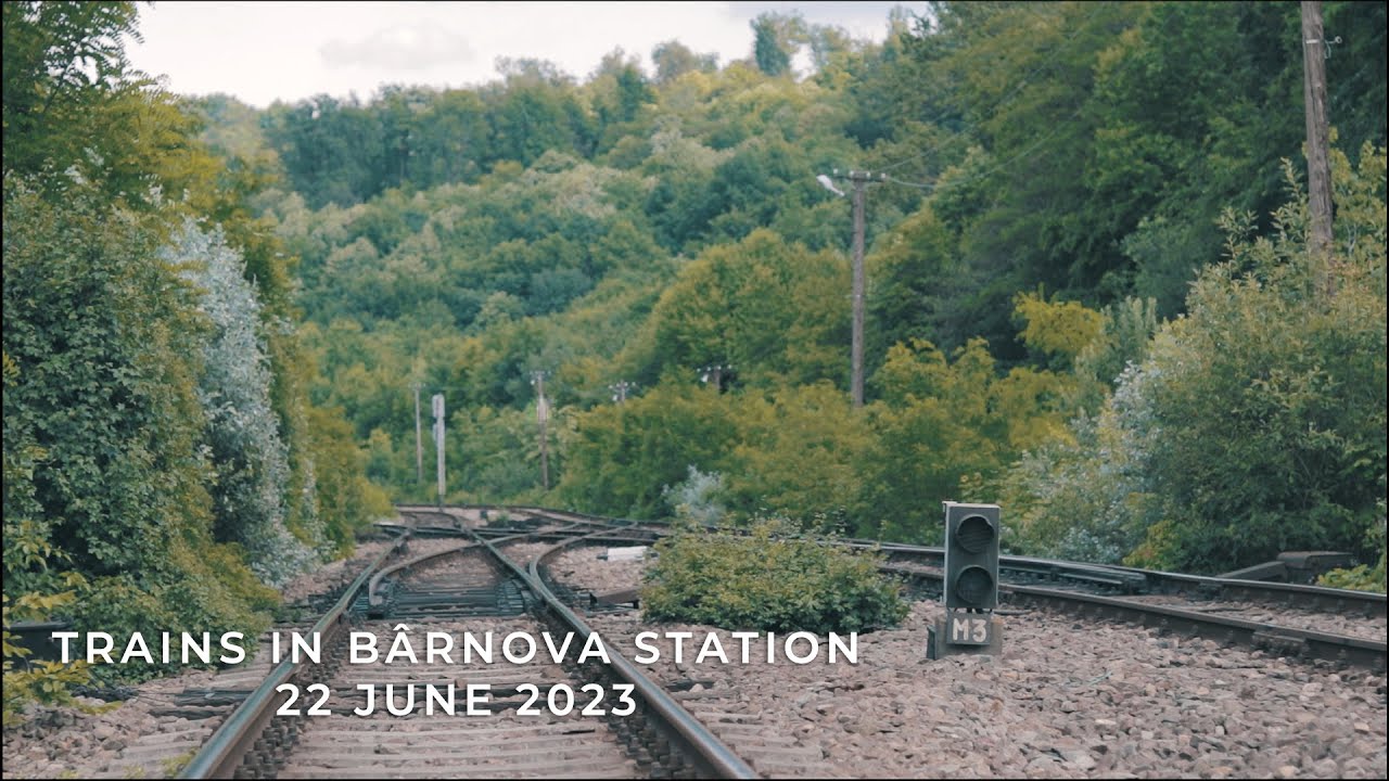 Trains in Bârnova Station - 22 June 2023