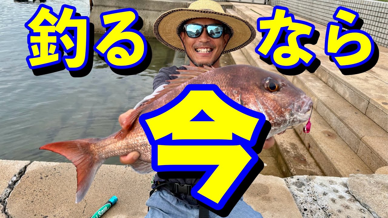 【ショアテンヤ極意】夏パターンに移行したアフター回復真鯛を短時間で狙う！