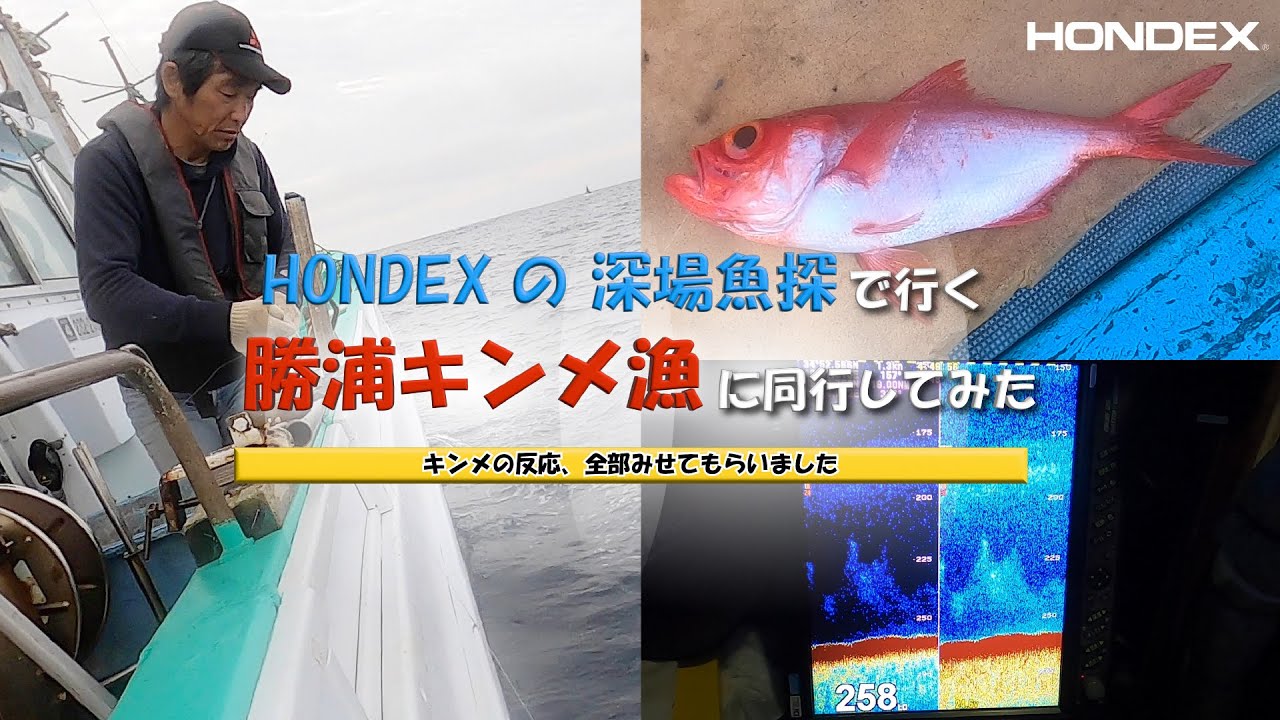 【HONDEX】ホンデックスの15型深場魚探で行く！勝浦キンメ漁に同行してみた　2025