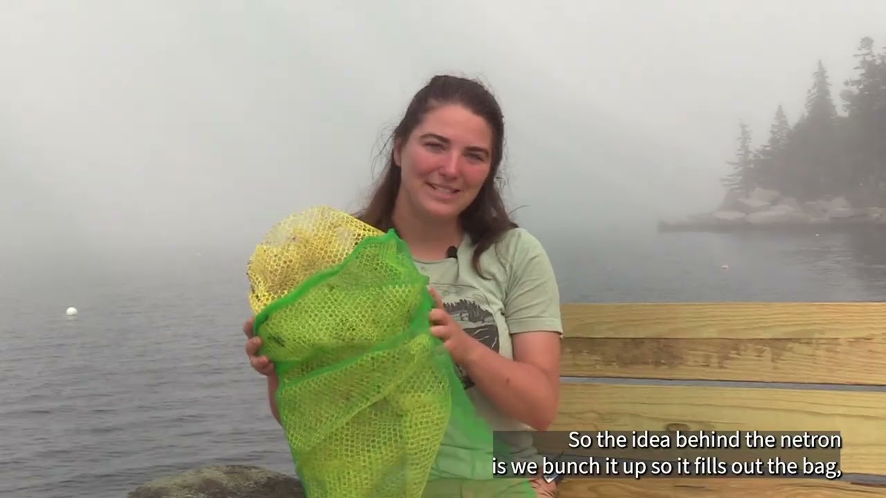 Shell-ebrate! Bivalve Farming in Maine
