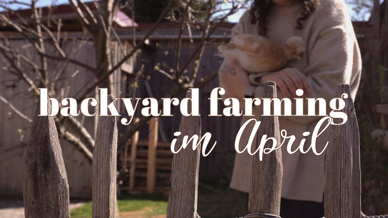 Gartenrundgang 👩&zwj;🌾 April 🌱 unser Selbstversorger Garten 🥕🌱 so starten wir in den Fr&uuml;hling