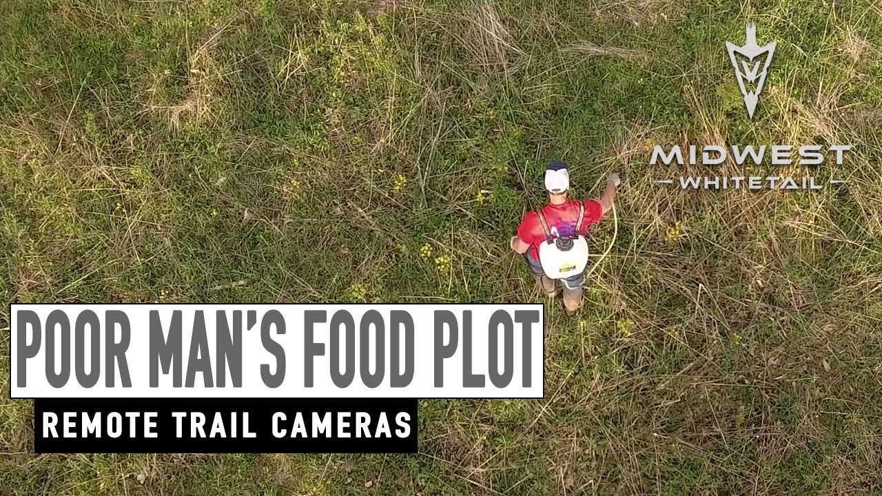 Poor Man's Food Plot, Remote Cameras | Midwest Whitetail