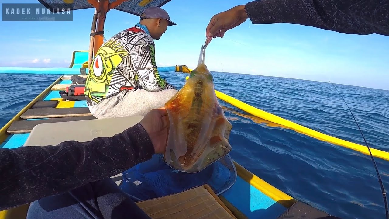TERBUKTI‼️begini cara mancing cumi besar dikedalaman