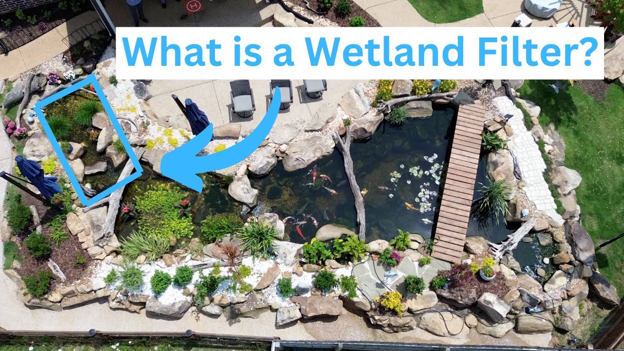 Wetland Filters    EXPLAINED!
