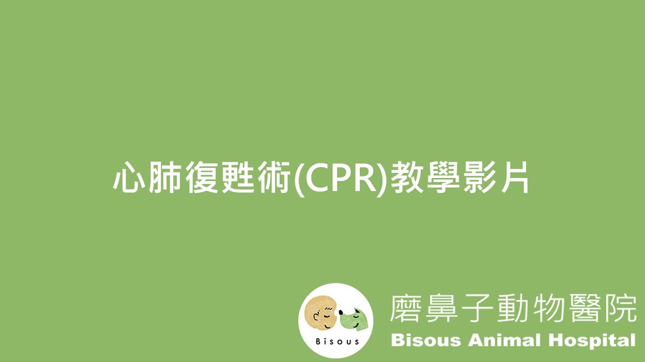【磨鼻子小教室】犬貓CPR🚑小動物心肺復甦術教學