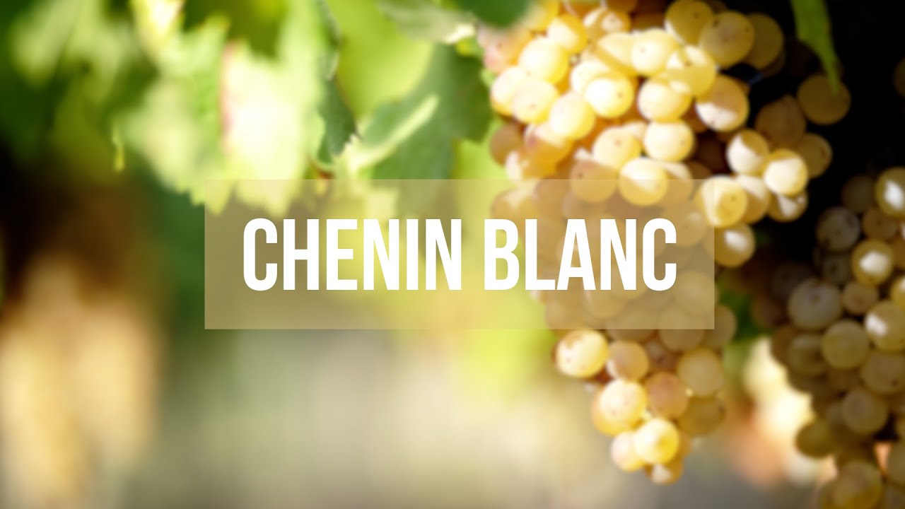 Chenin Blanc