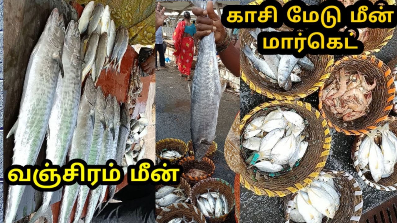 Kasimedu fish market / India's largest fish market / live fish auction in kasimedu /kasimeduvanjaram