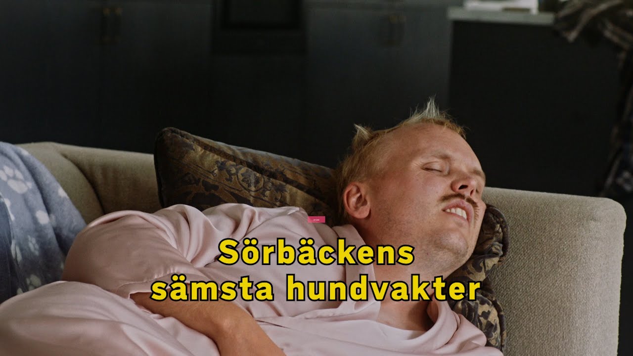 Sörbäckens sämsta hundvakter - Leif & Billy