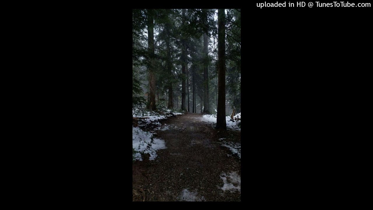✧FREE✧ melodic digicore + experimental + redpriest type beat (prod. cr1sis + 1Ner0uN!)