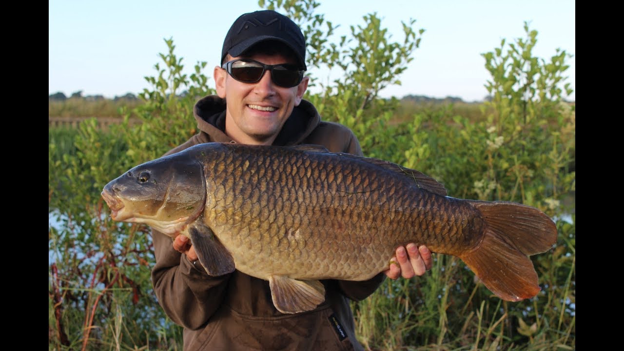 River Carp Fishing | Down By The River 2 | Webisode #2 www.carpjunky.com