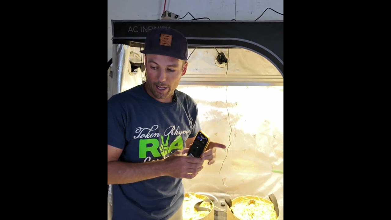 AC Infinity Controller AI+ Setup for Autoflower Grow