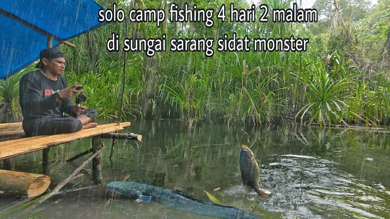 Solo camping hujan deras full strike  mancing di sarang ikan sidat gabus dan nila
