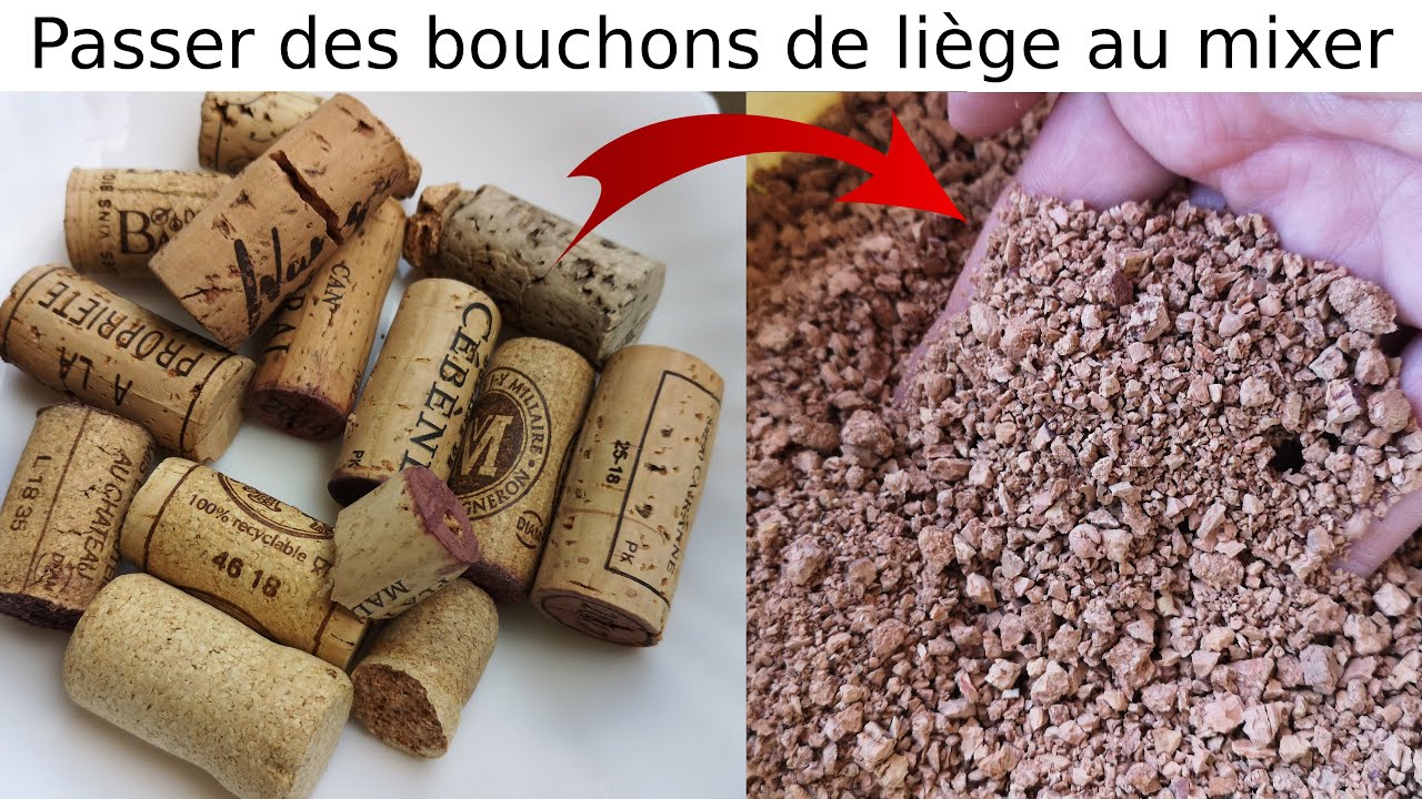 Comment broyer des bouchons en liège: test avec mixer et blender de cuisine
