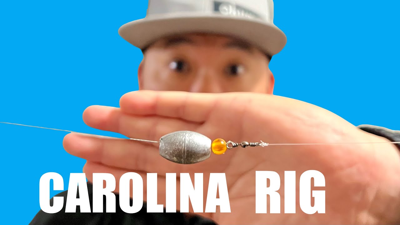 Как использовать оснастку Carolina Rig для ловли рыбы с берега [Урок для начинающих, часть 1 из 2]