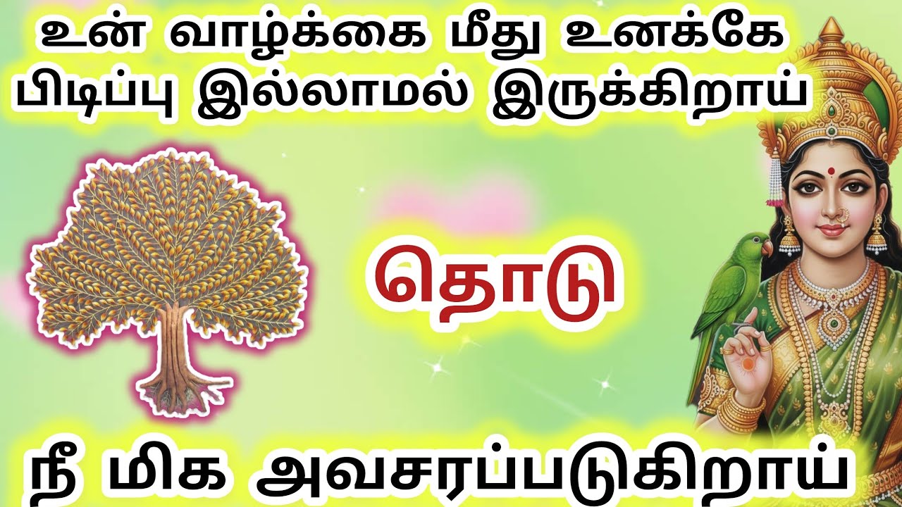 உன் வாழ்க்கை மீது உனக்கே பிடிப்பு இல்லாமல் இருக்கிறாய் கல்ப விருட்சம் தொடு #meenakshi #அம்மன் 