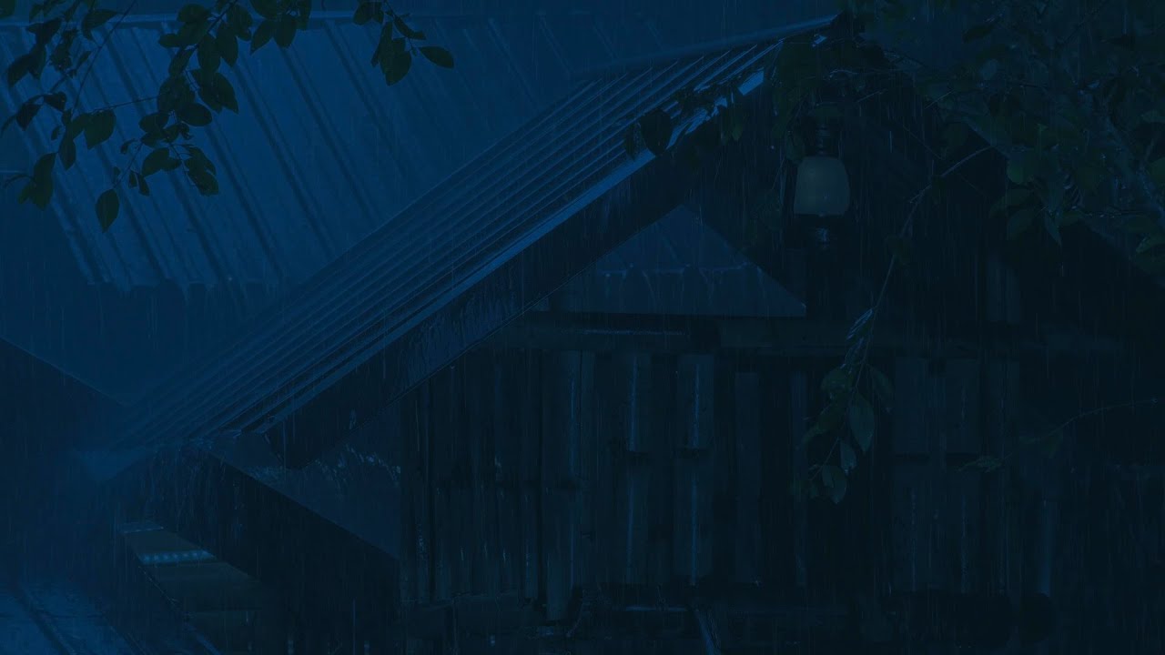 Heavy Rain on Old Metal Roof in the Rainforest 🌧️ Sleep Instantly & Relieve Stress