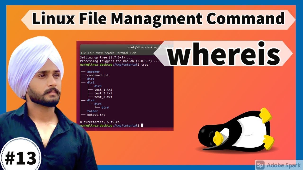 Whereis Command in Linux With Examples In Hindi |#whereis | Linux File Management Commands Class #13