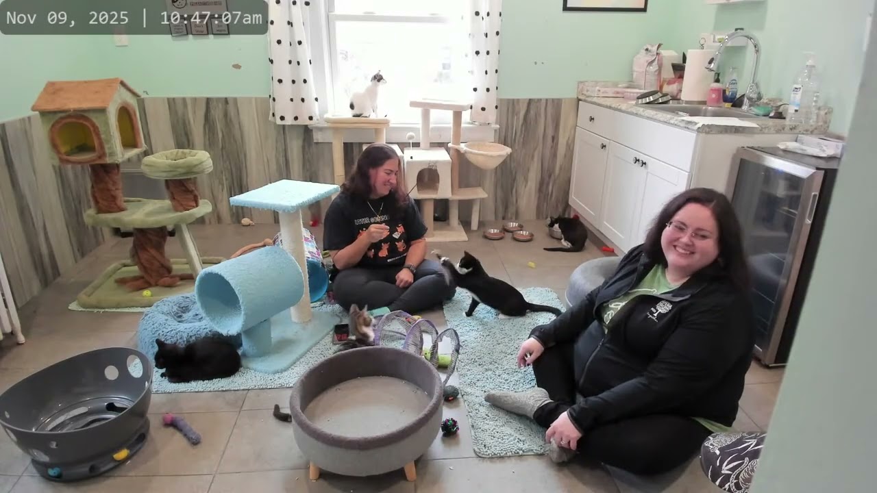 Kitkat Playroom: Elwood Goes Home!