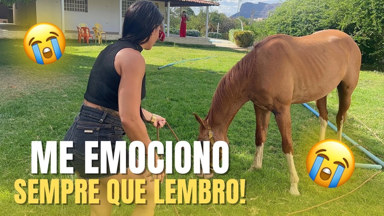 DETALHES QUE PROVAVELMENTE VOC&Ecirc; AINDA N&Atilde;O SABE SOBRE MIM. 