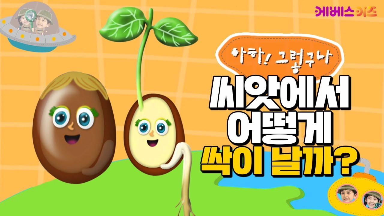 씨앗에서 어떻게 새싹이 나는걸까?ㅣ씨 발아ㅣ씨앗, 식물ㅣ아하! 그렇구나ㅣKBS 방송
