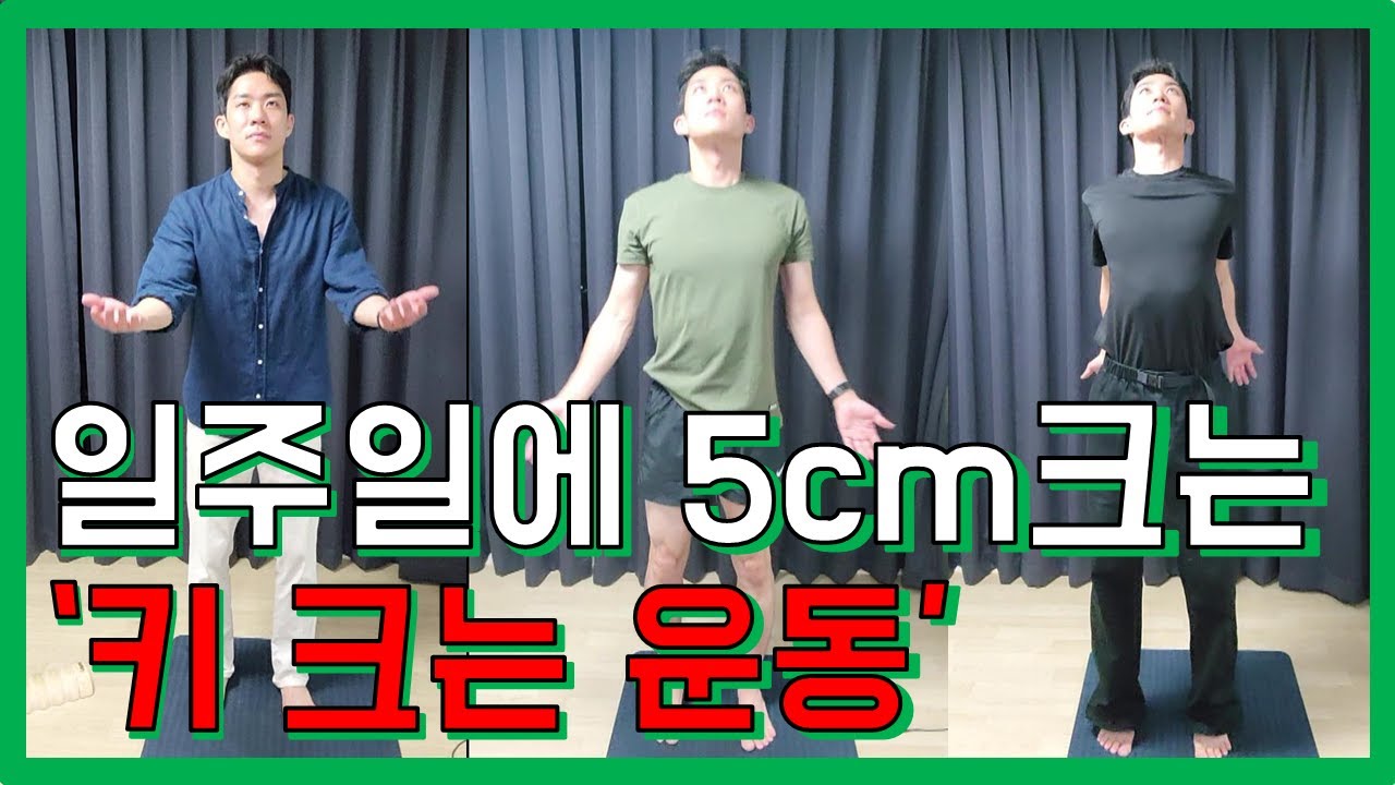 세계서 주목받는 &lsquo;키 크는 운동&rsquo; 한달동안 하면 진짜 클까? (+스트레칭 효과)