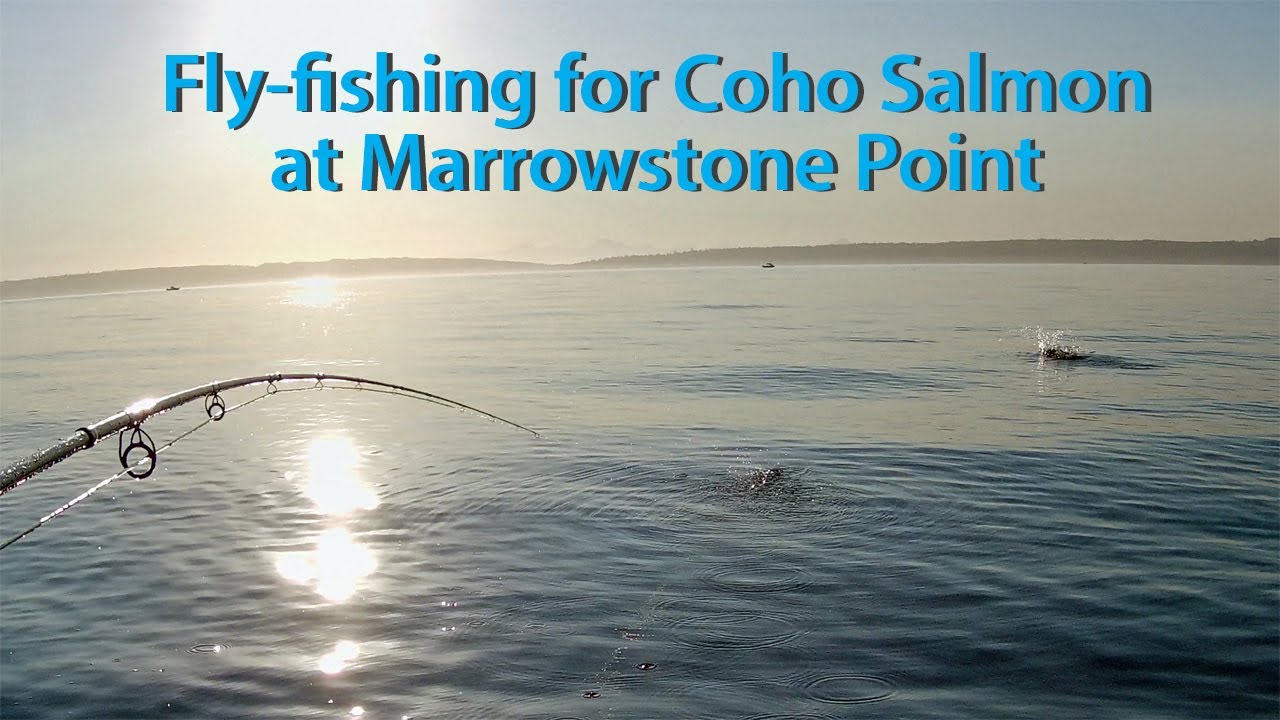 Fly fishing for Coho Salmon at Marrowstone Point