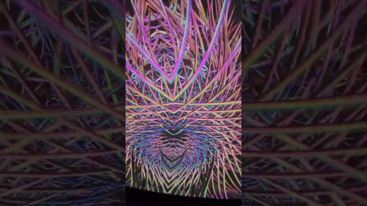 BEAUTIFICA 360