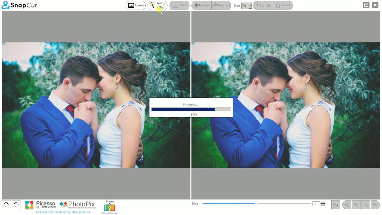 snap cut automatically cut your photos