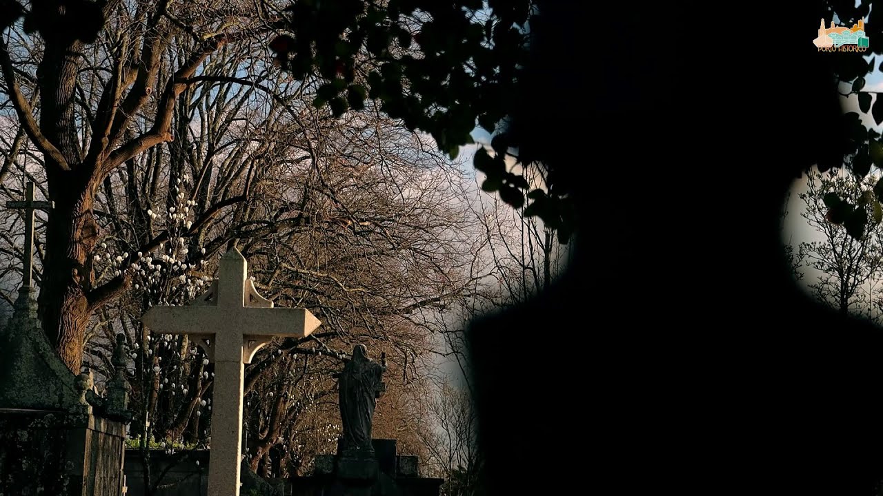 Invictaphobia - O documentário