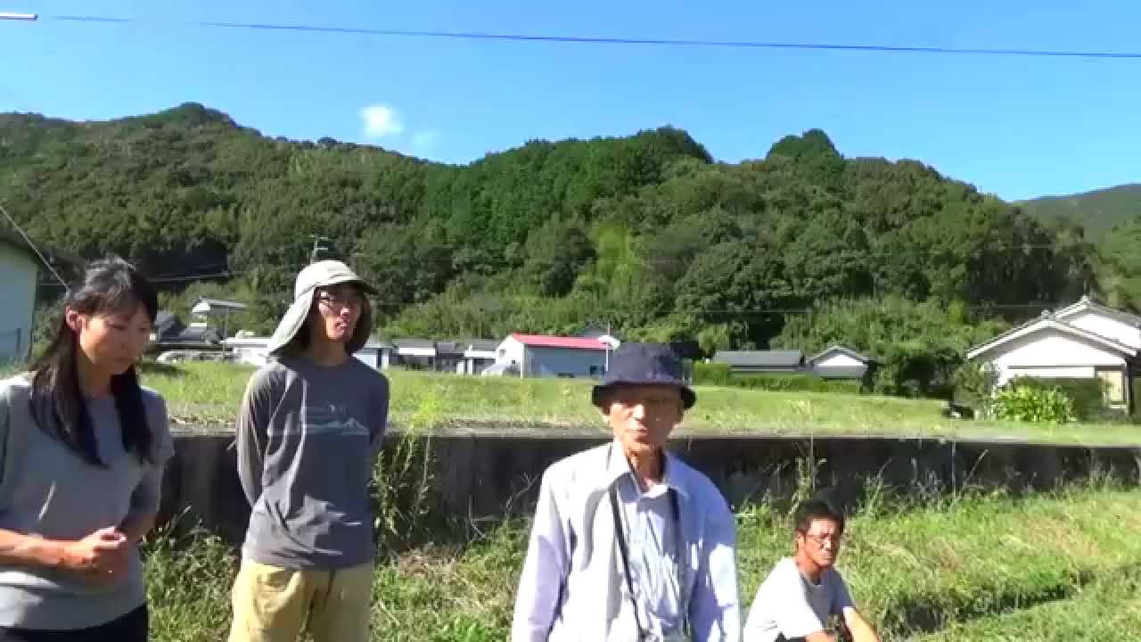 炭素循環農法・高知・圃場視察