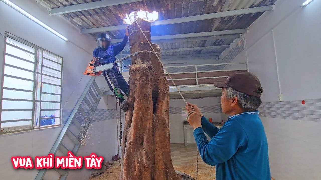 Vua Khỉ đập thủng nóc nhà để cưa Hạ Cây Bồ Đề CH.ẾT nằm trong nhà (Phần đầu).