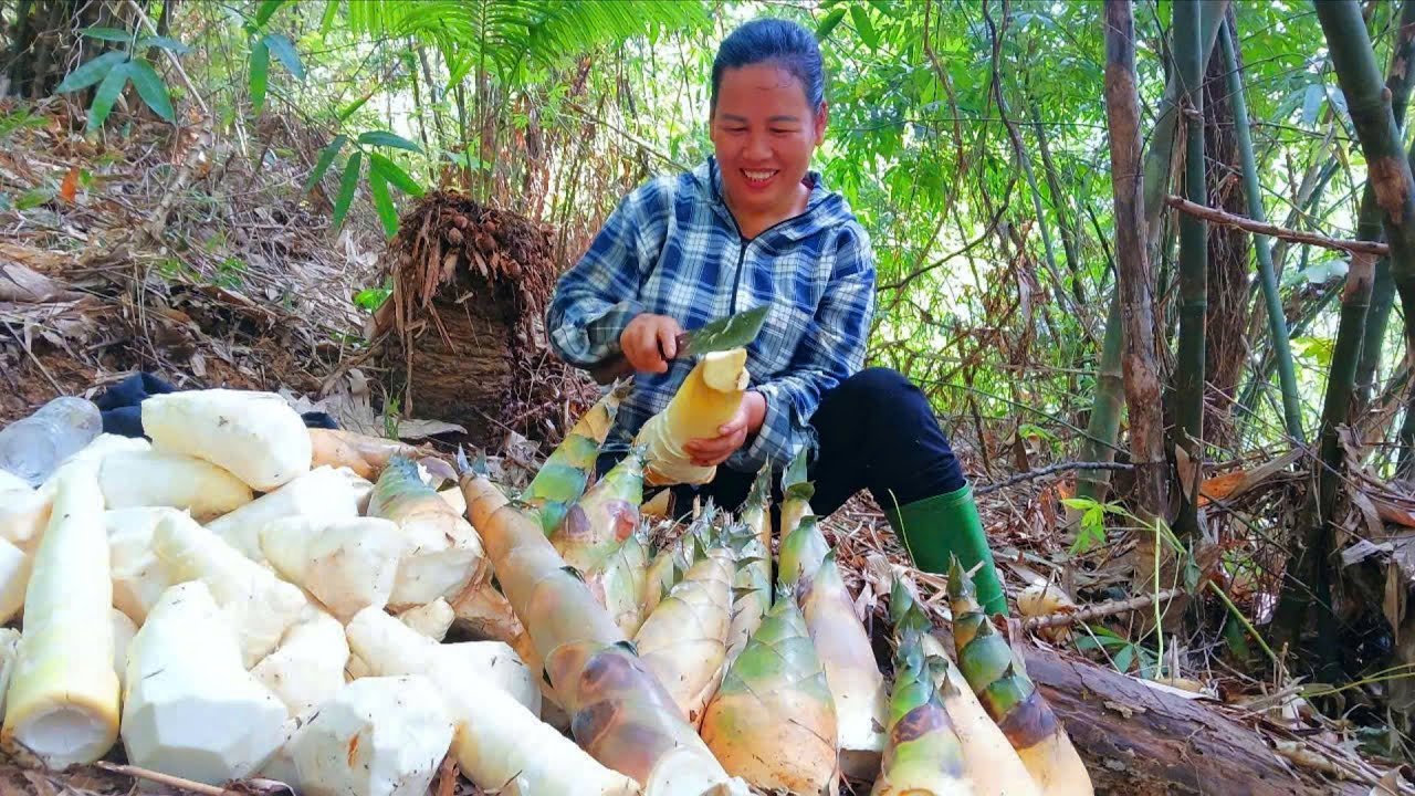 DAN was lucky to harvest a large quantity of bamboo shoots. Prepare for great plans in the future