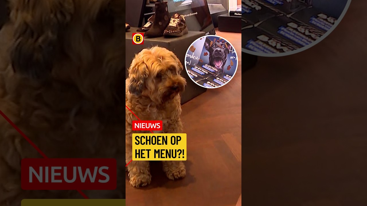Schoenensmaak hondenbrokken | #hond