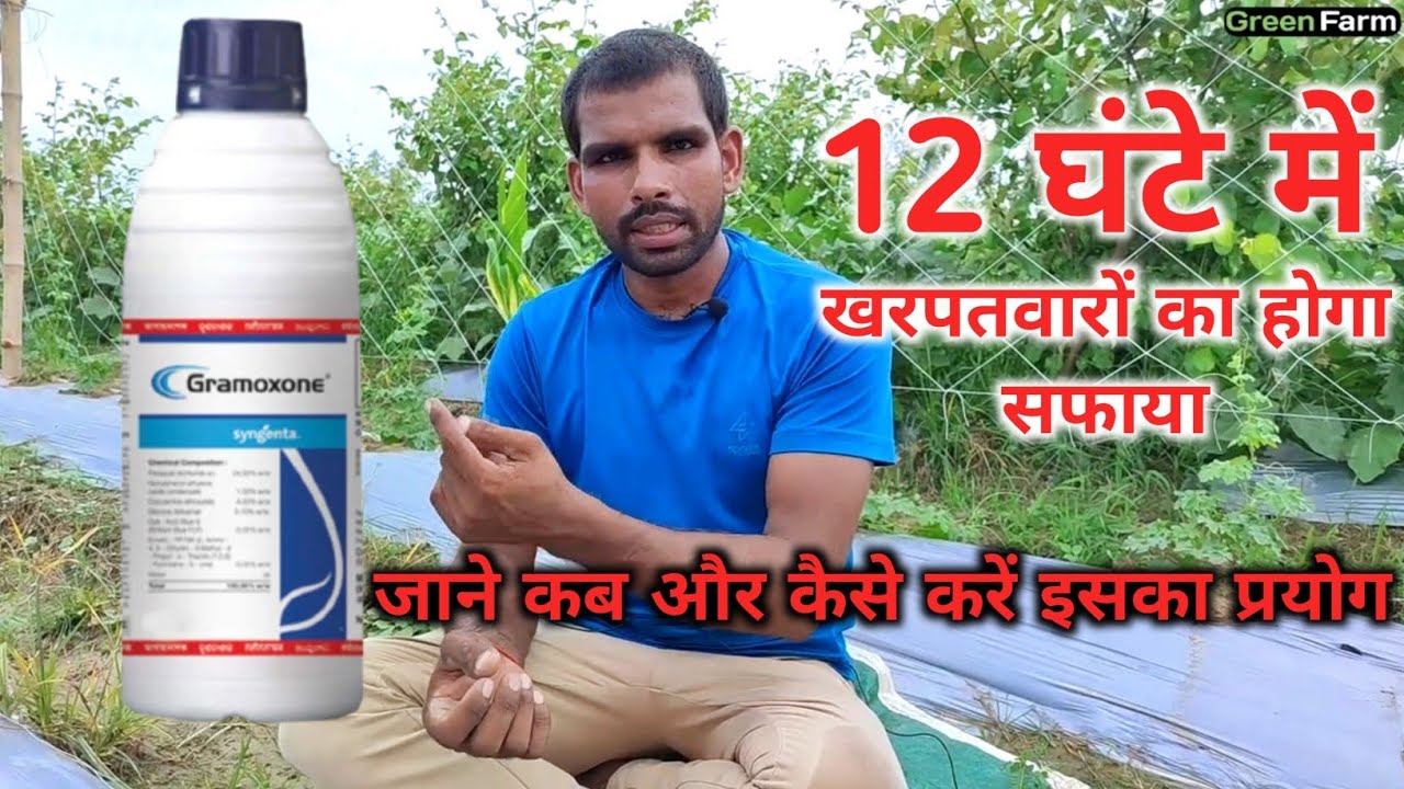 Paraquat Dichloride 24% SL | फसलों में पैराकाट का प्रयोग क्यों और कैसे करें?
