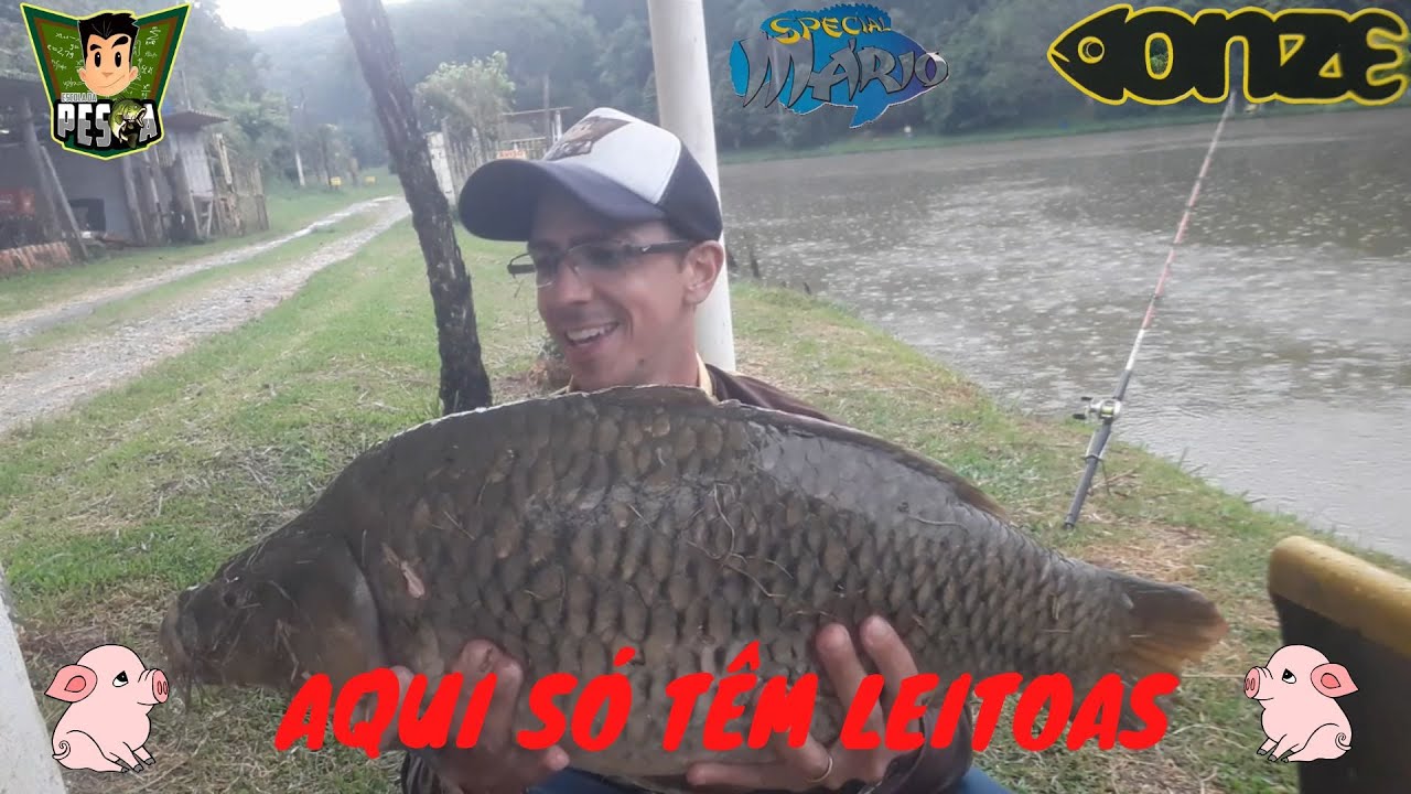 #180 - MESMO COM CHUVA PEGAMOS ALGUNS BONS EXEMPLARES - PESQUEIRO ONZE