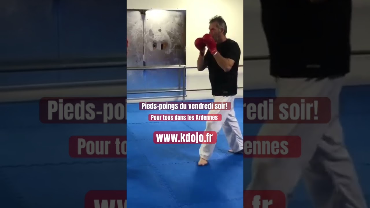 Pieds-poings : accessible &agrave; tous. Renseignez vous : kdojo.fr