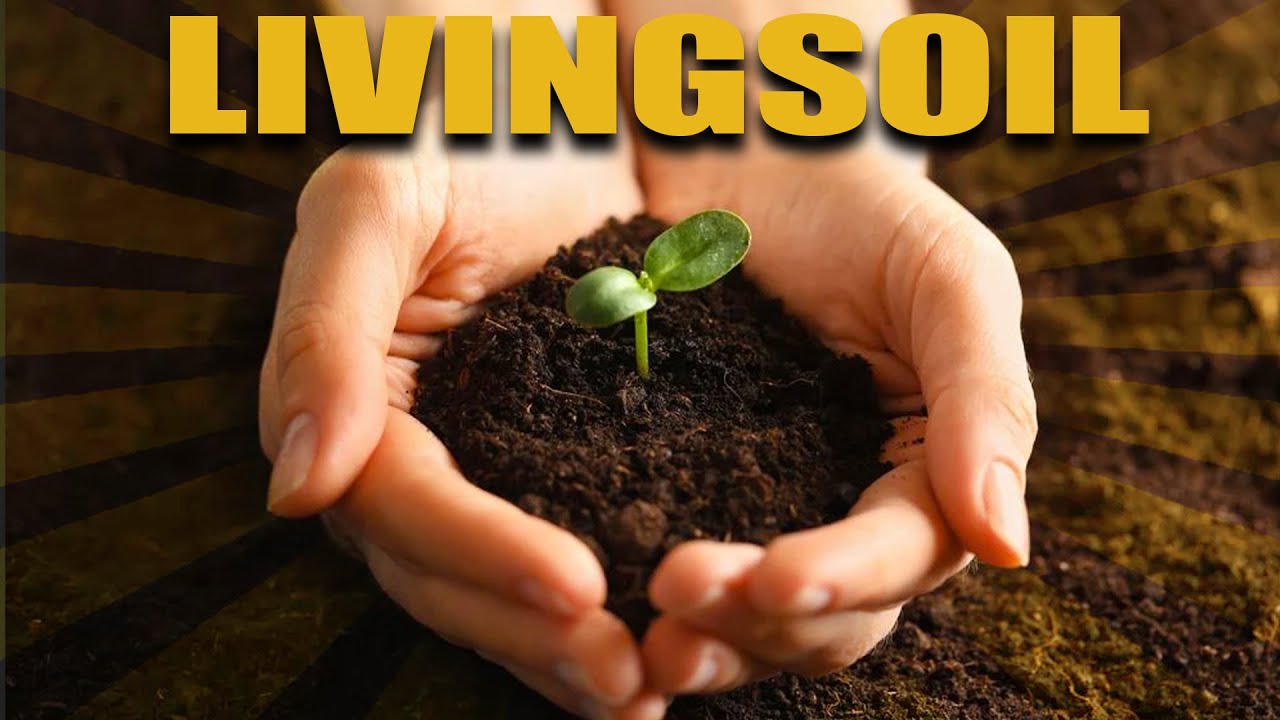 How to setup SUPERSOIL or LIVINGSOIL in GRASSROOTS fabric pots, In the GREENHOUSE