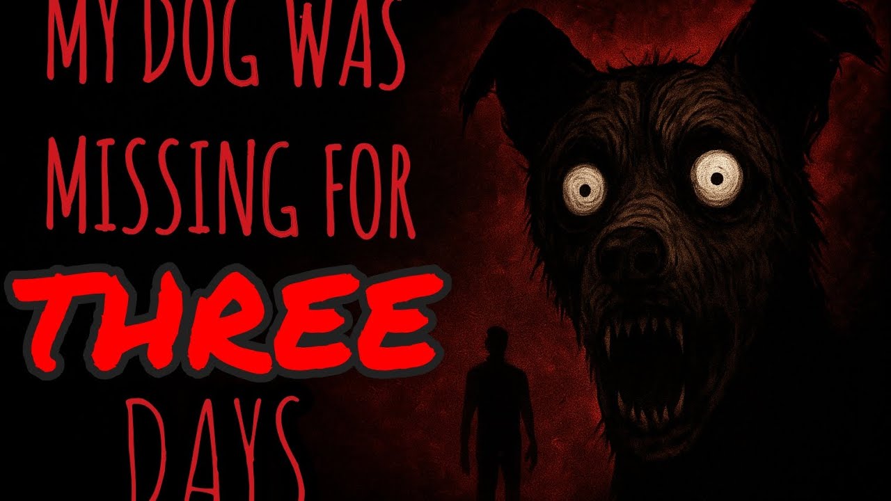 My Dog was missing for Three Days