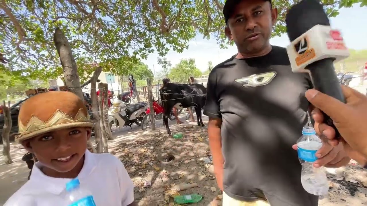 Feira de Cavalos do Bola em Monteiropolis - AL 01 - 2 - 2026 #nordeste