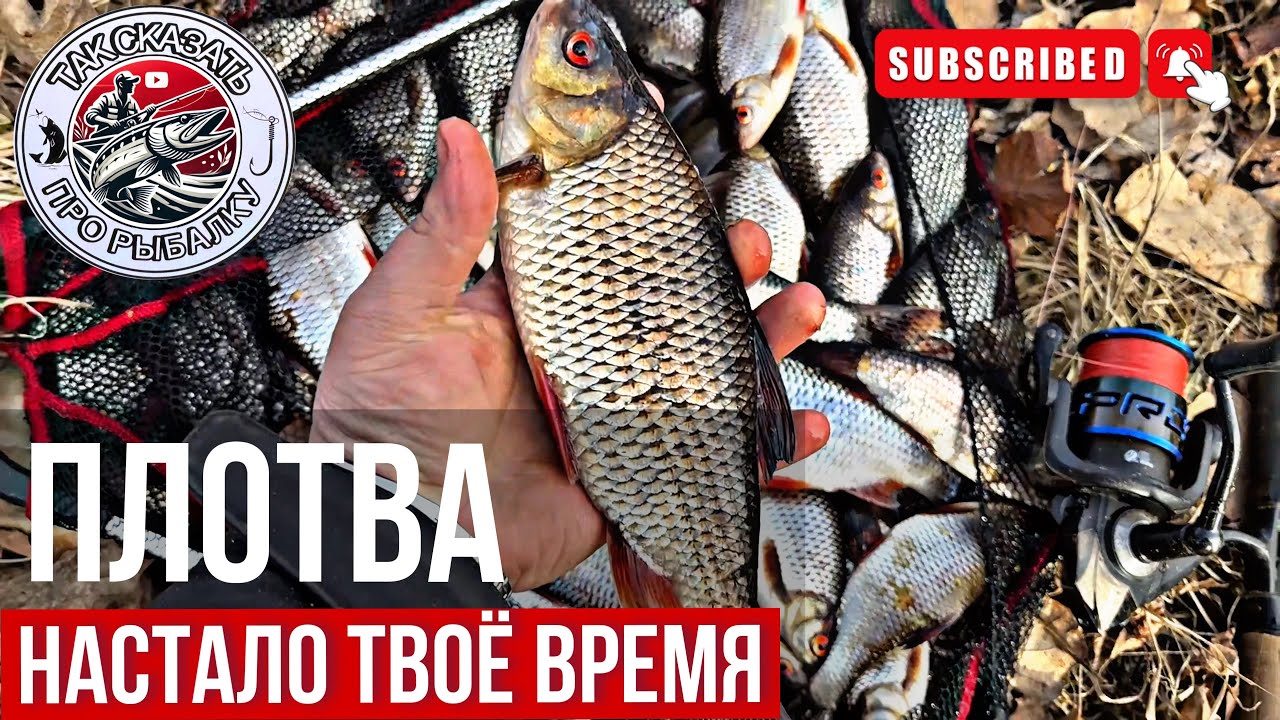 ЖЕЛАЮ КАЖДОМУ ТАК ОТКРЫТЬ ФИДЕРНЫЙ СЕЗОН!Рыбалка на фидер ранней весной. Попал на ЖОР ПЛОТВЫ!