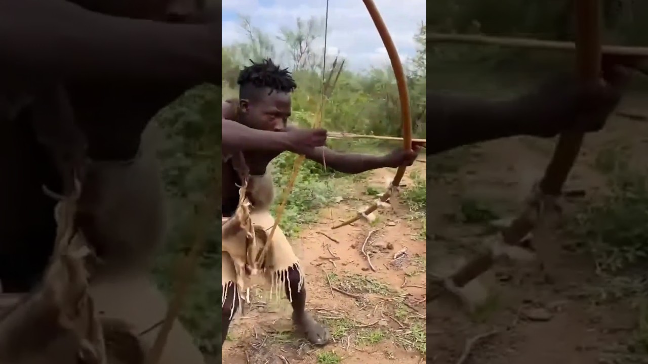 A Treetop Tussle... Then Everything Changed | Bush Awareness!#shorts #wildlife