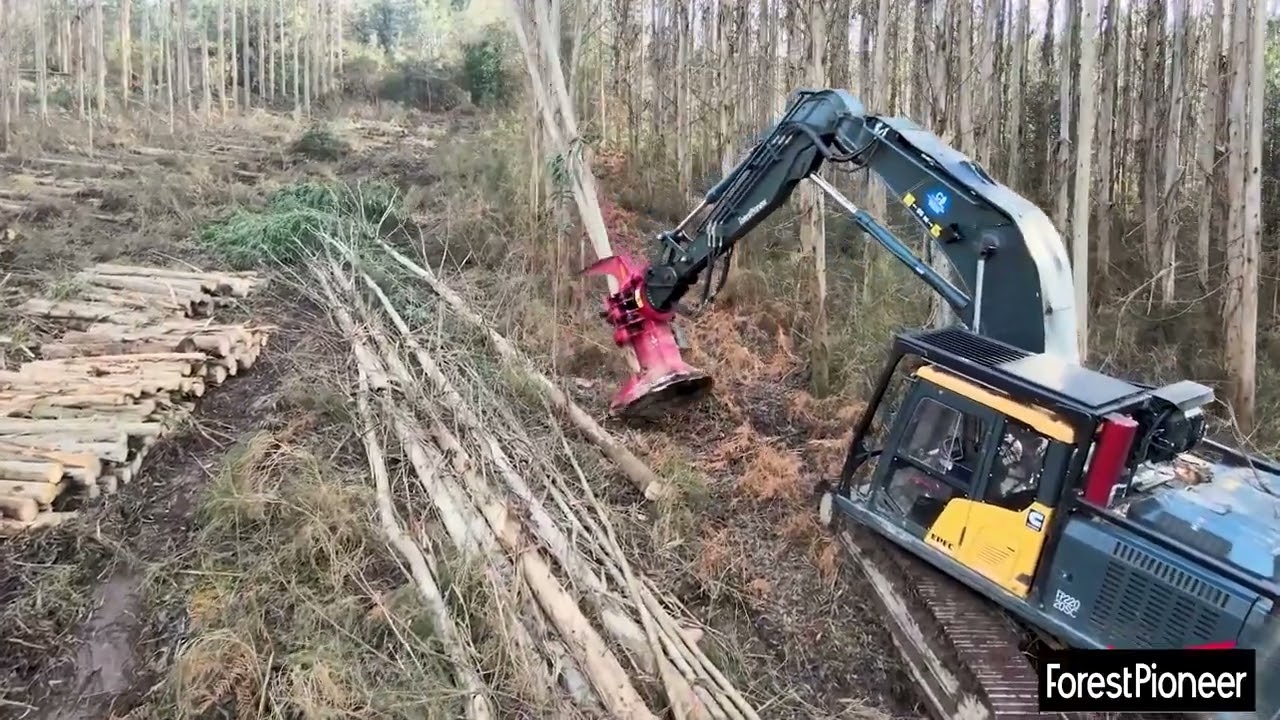 Forest Pioneer FPM TR190 – Le feller innovant et sur mesure pour les marchés européens