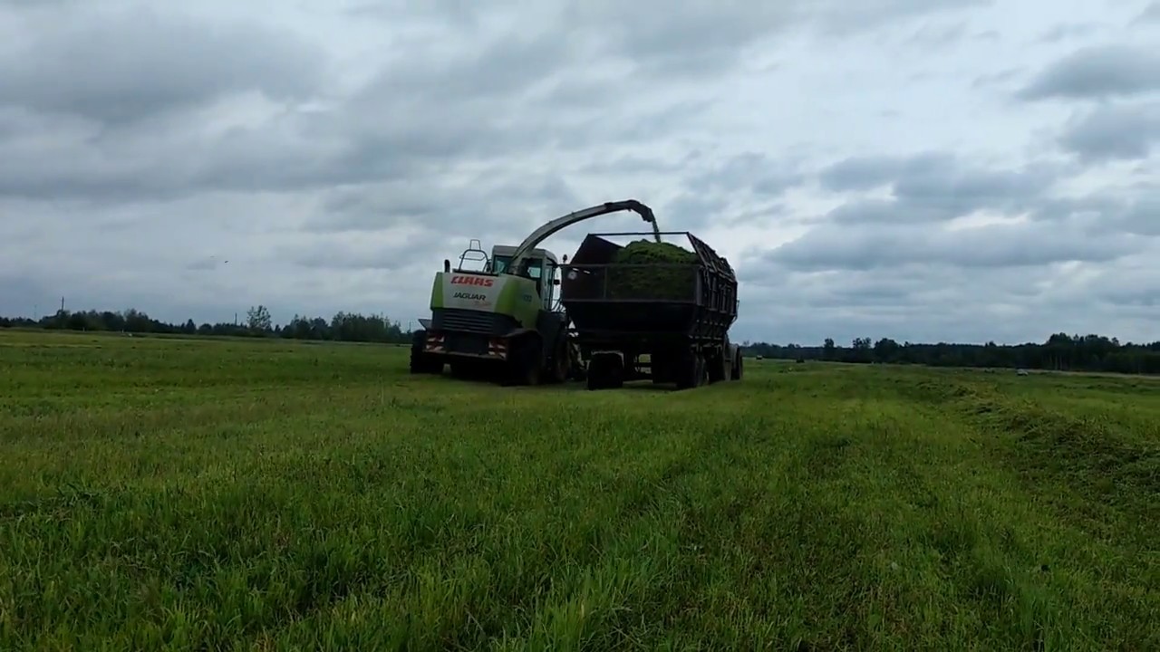 Ягуар 850 профистар!!!