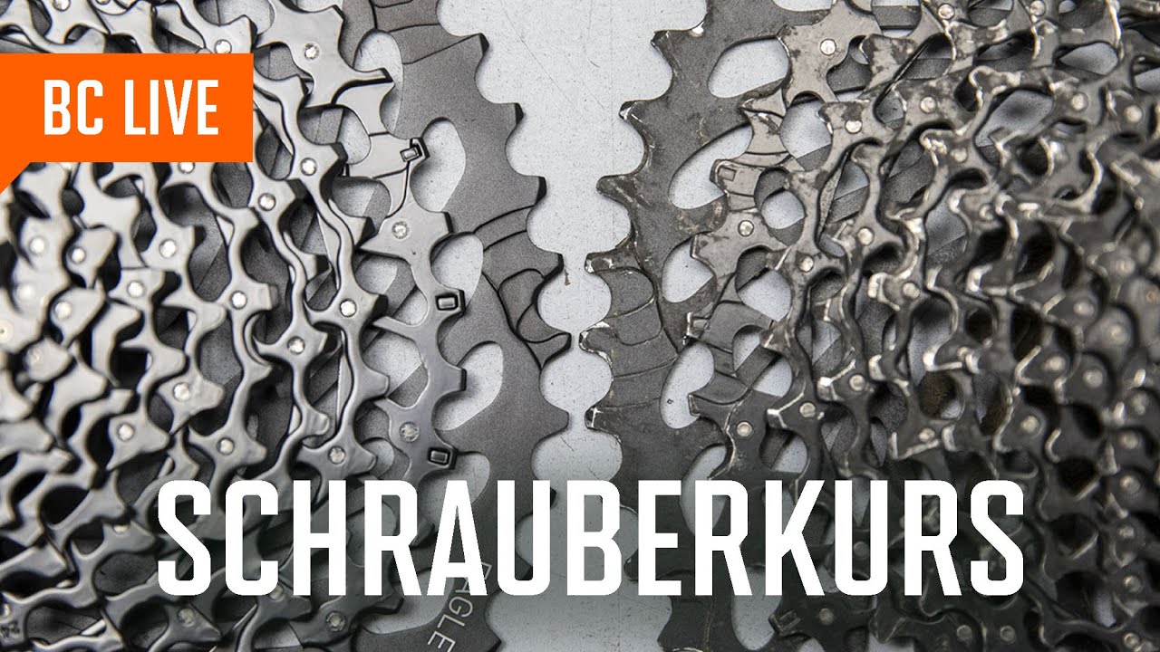 bc LIVE: Verschlei&szlig;-Check | Online Schrauberkurs