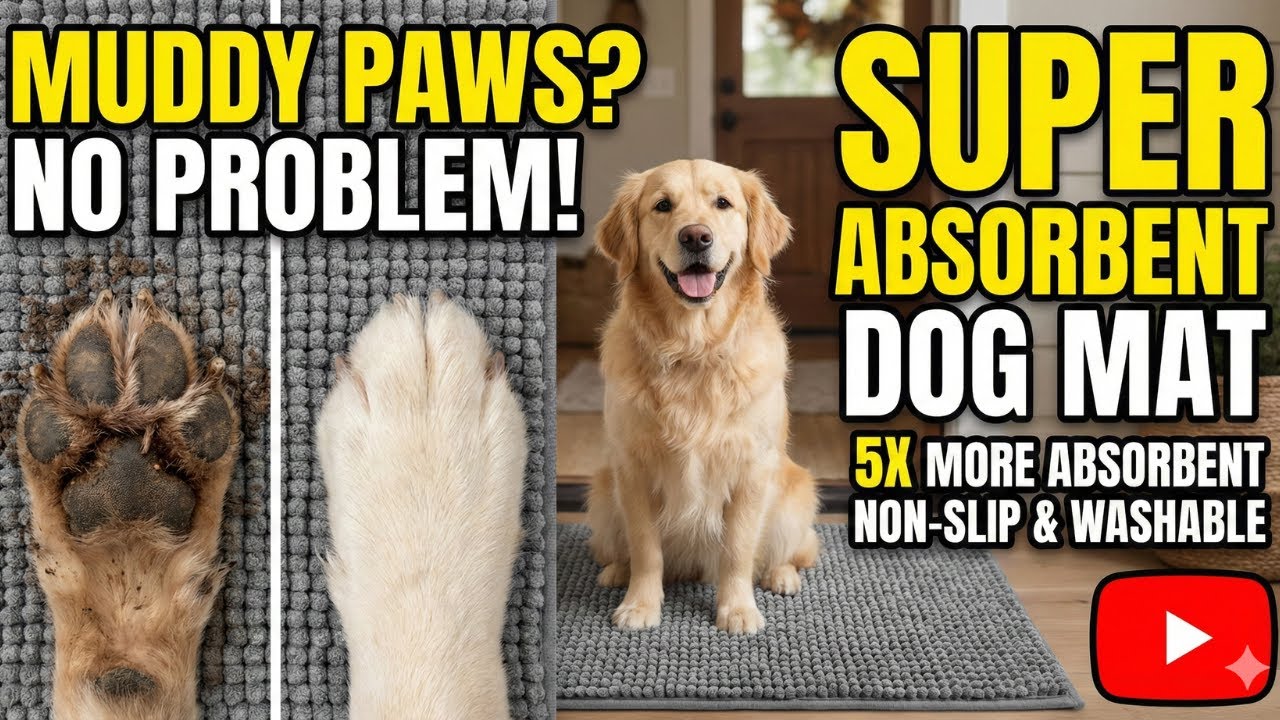 Super Absorbent Quick-Drying Dog Doormat - Non-Slip