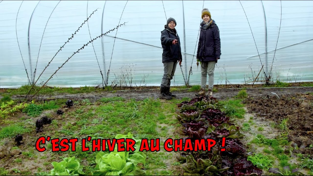 On se poêle au champ : la culture des légumes en hiver